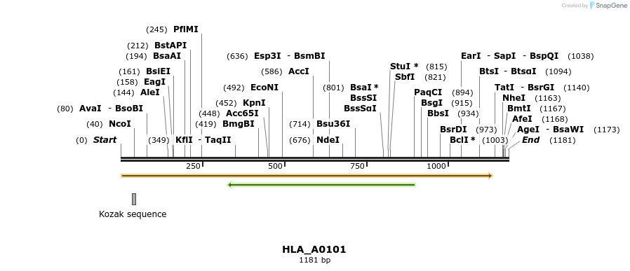 320501_map