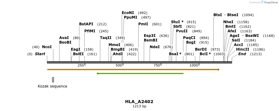 320502_map