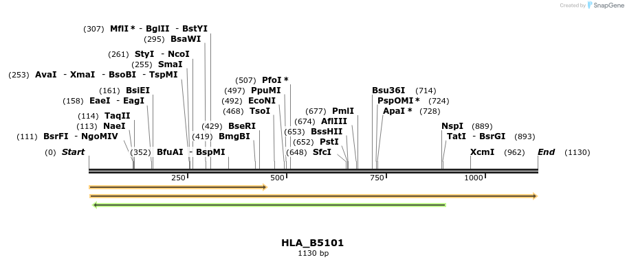 320503_map