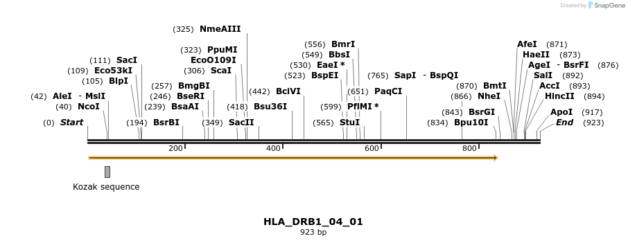 320505_map