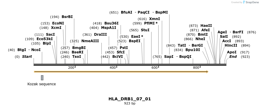 320506_map