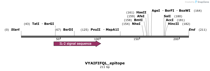 320510_map