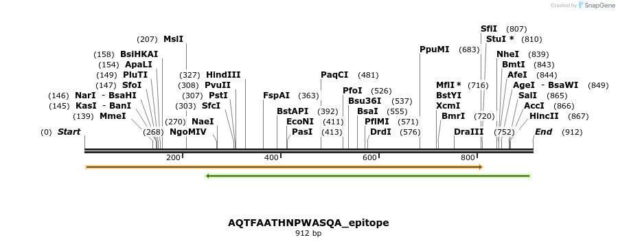 320511_map