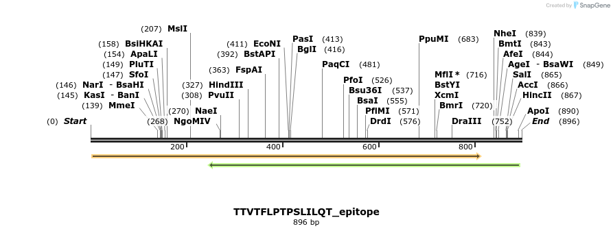 320513_map
