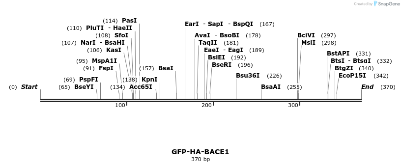320535_map