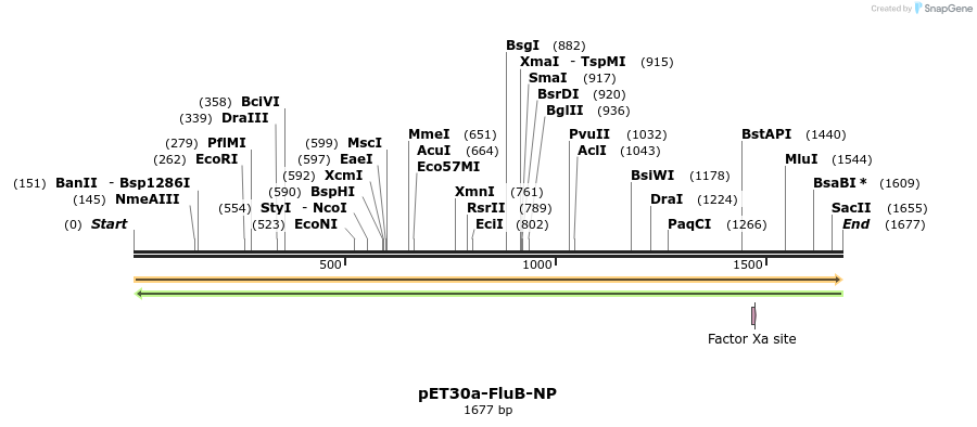320714_map