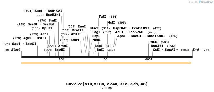 32074_map