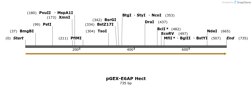 320757_map