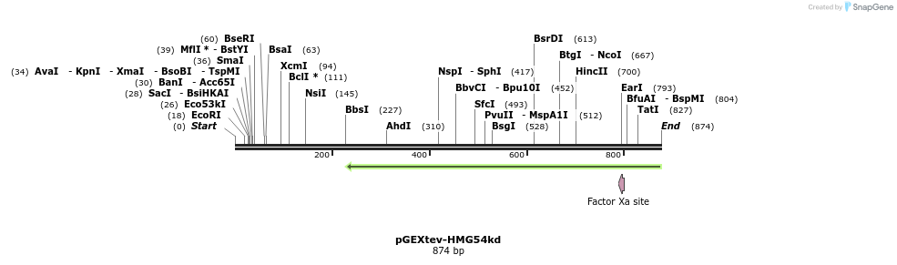 32077_map