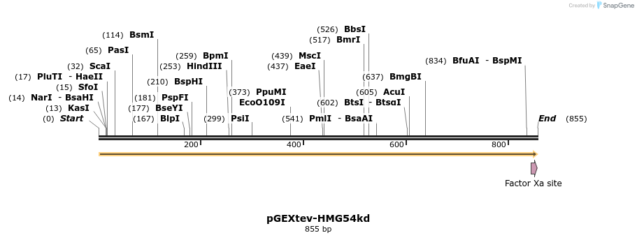 32078_map