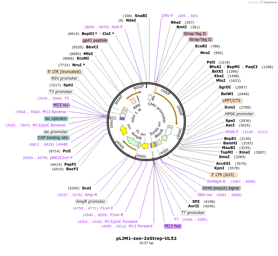320796_map