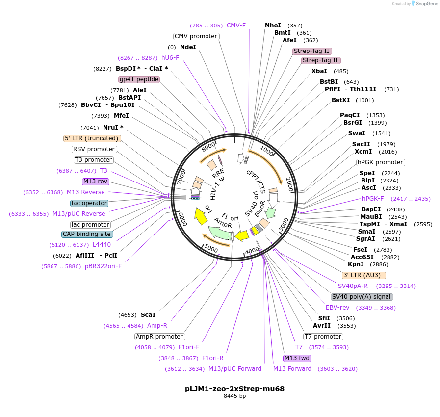 320798_map