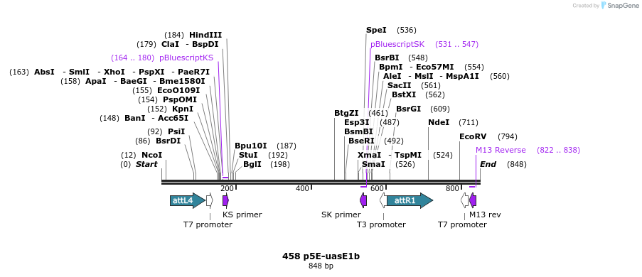 32080_map