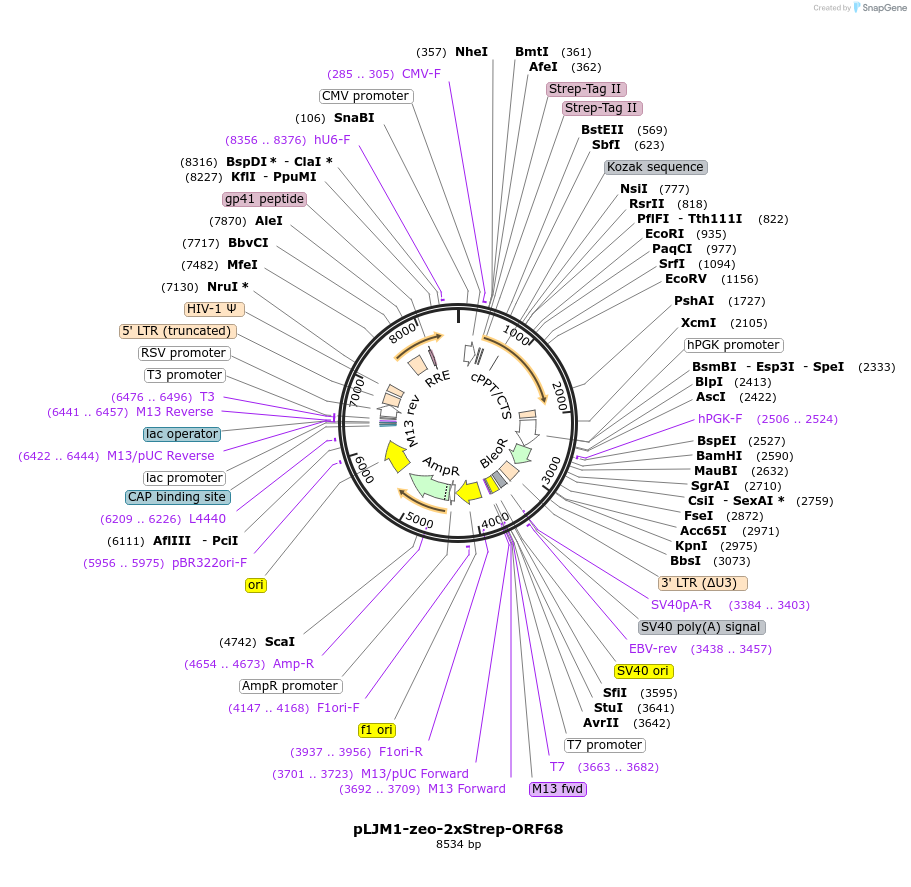 320802_map