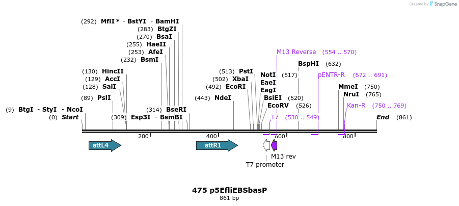 32081_map