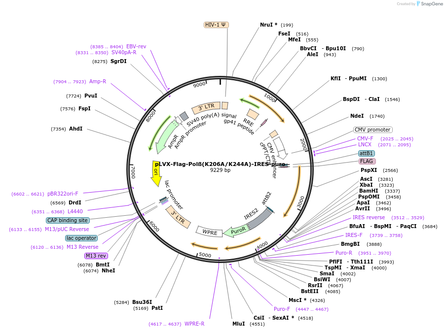 320813_map