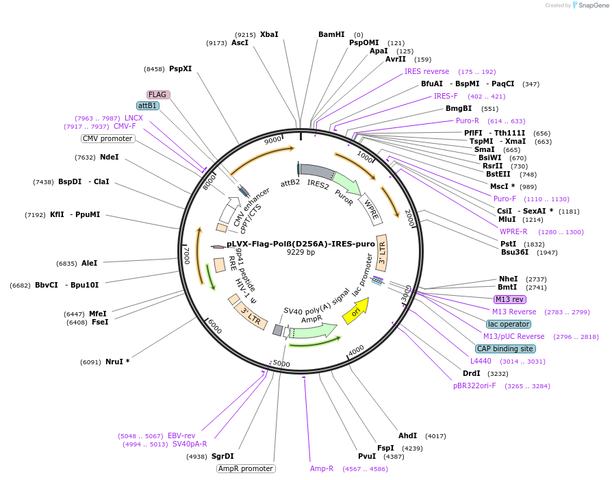 320814_map