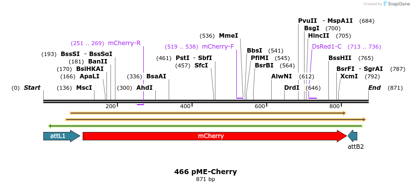 32082_map