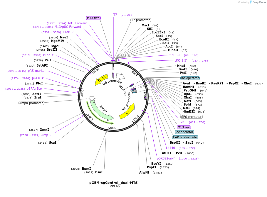 320822_map