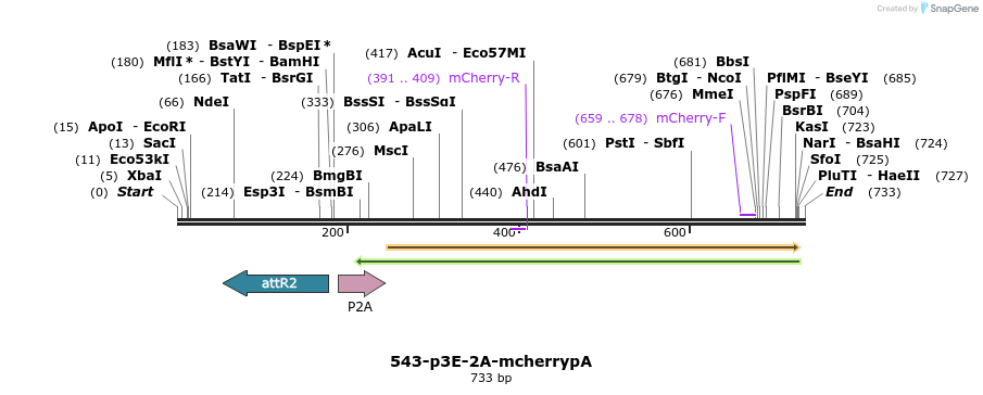 32084_map