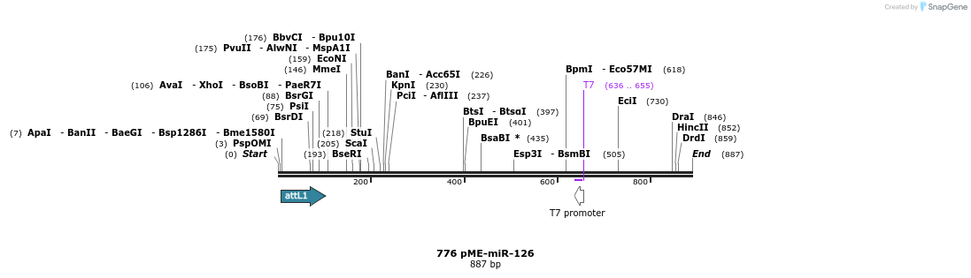 32086_map