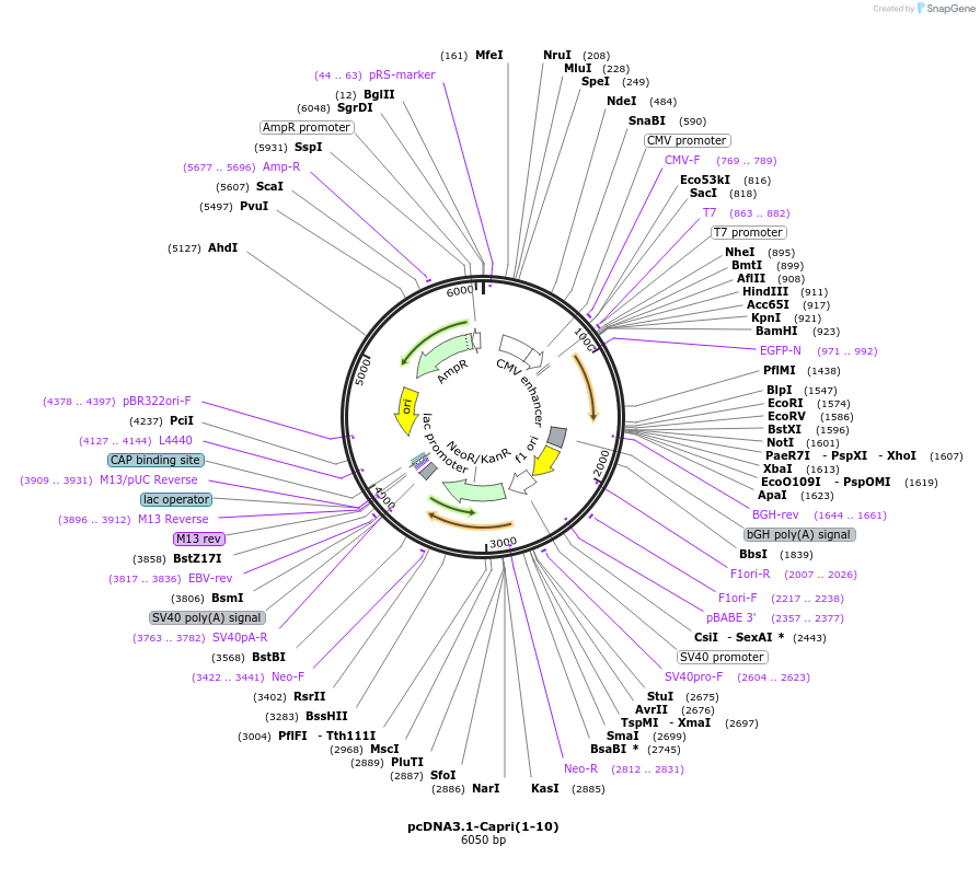 320869_map
