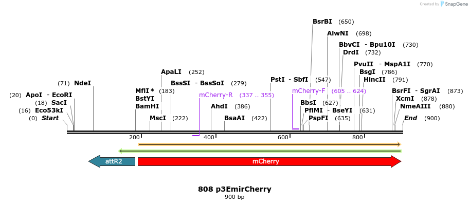 32087_map