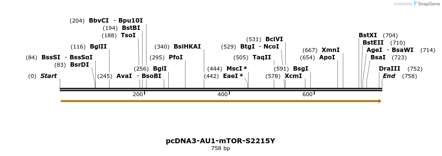 32089_map