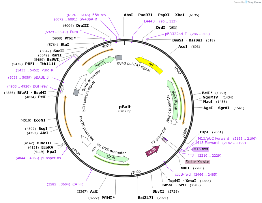 320906_map