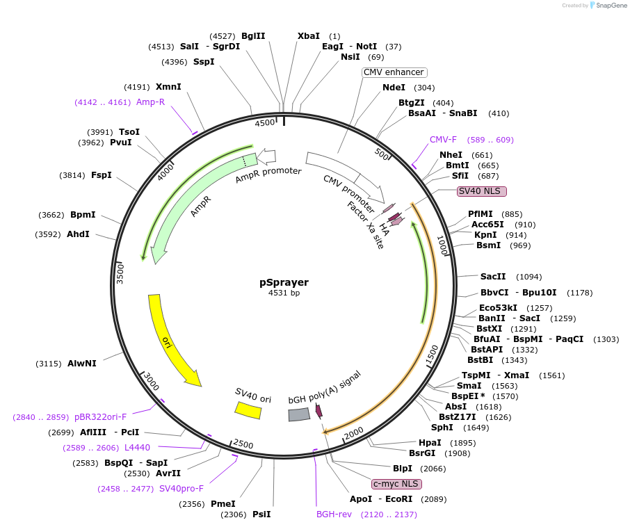 320910_map