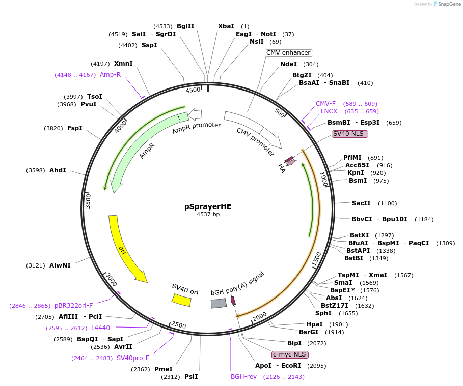 320914_map
