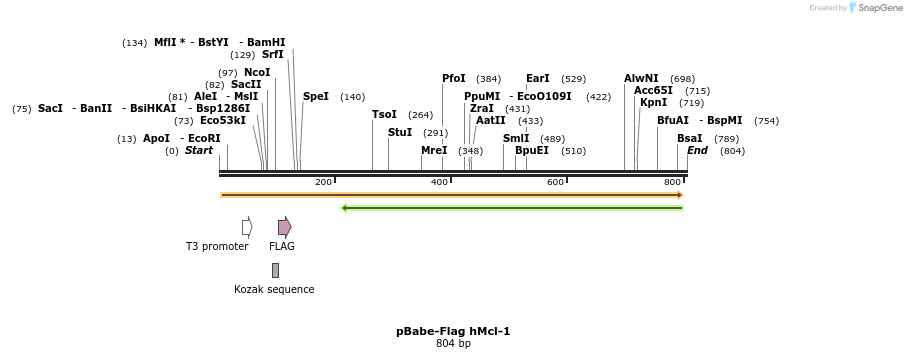 32104_map