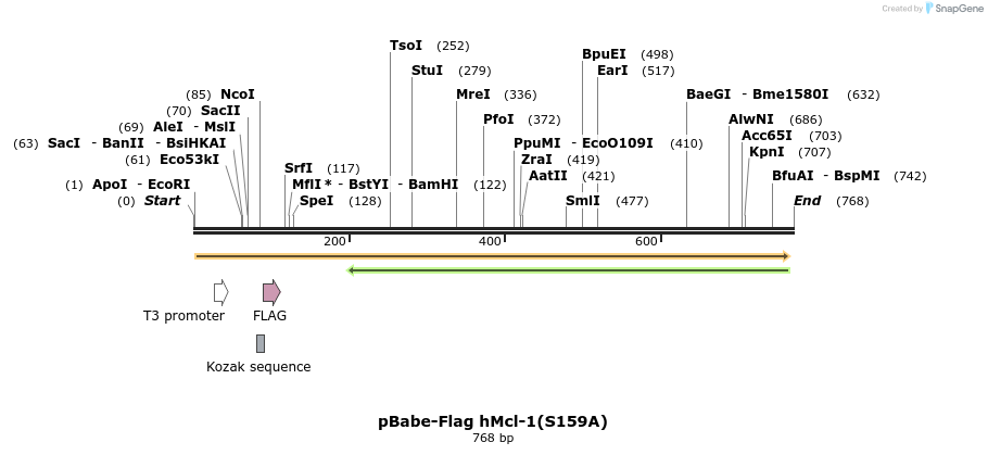 32105_map