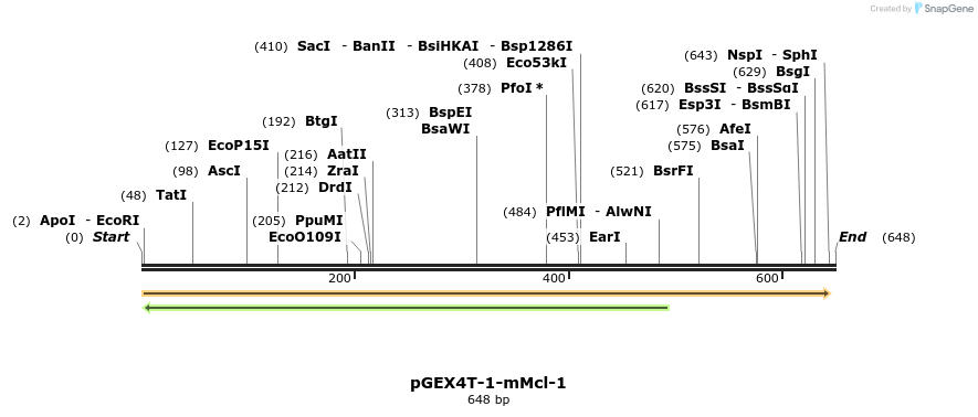 32124_map