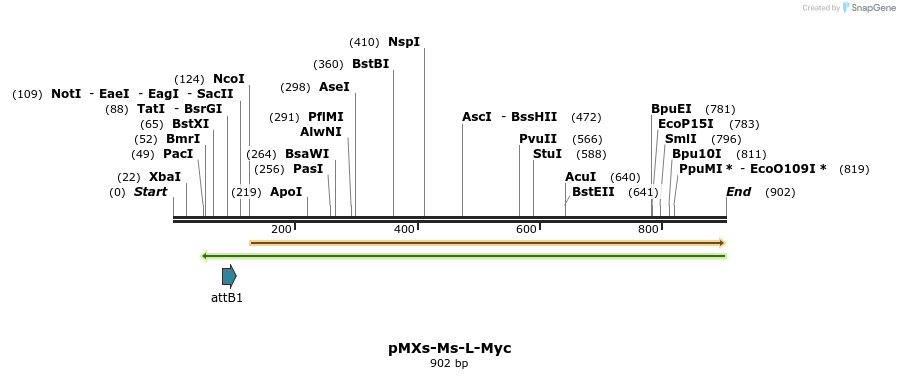 32129_map