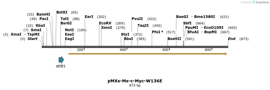 32130_map