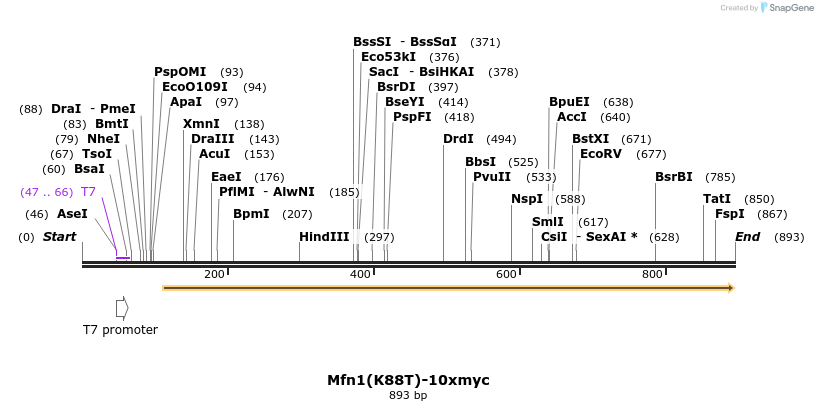 32135_map