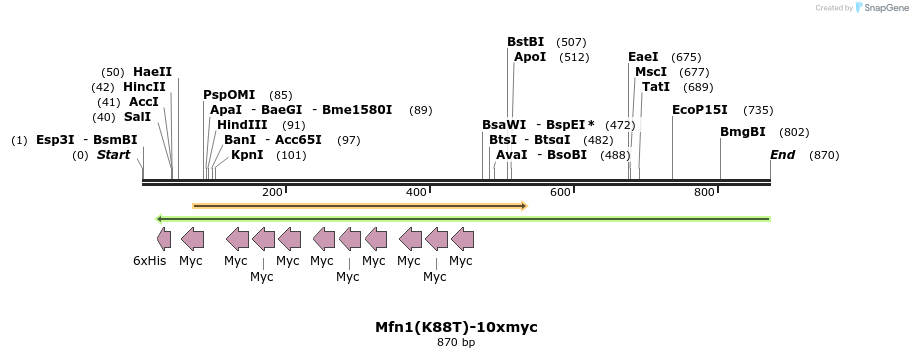 32136_map