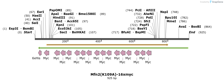 32138_map