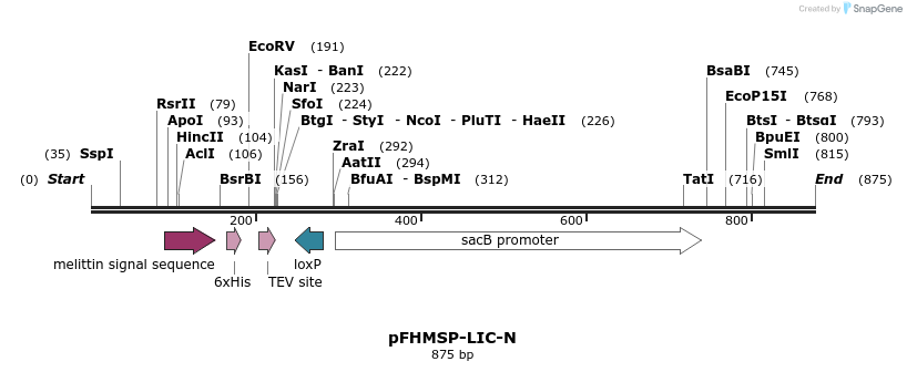 32141_map