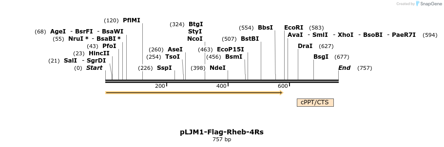 321453_map
