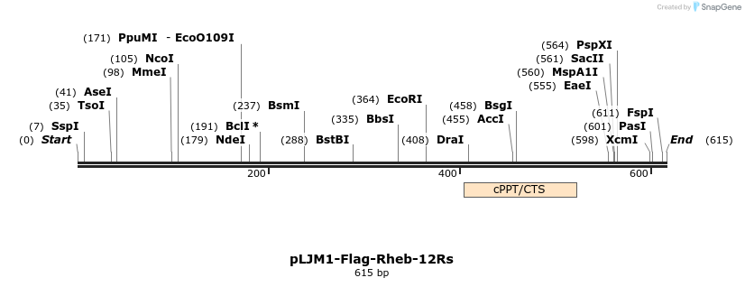 321459_map