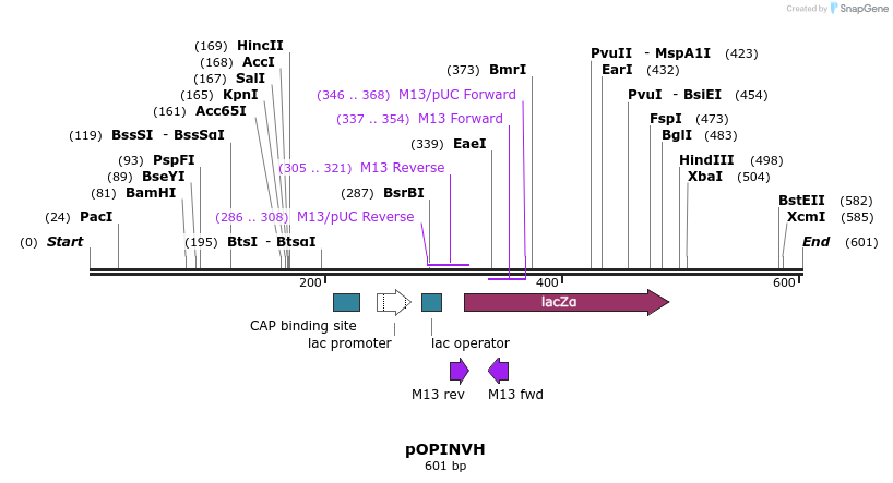 32147_map