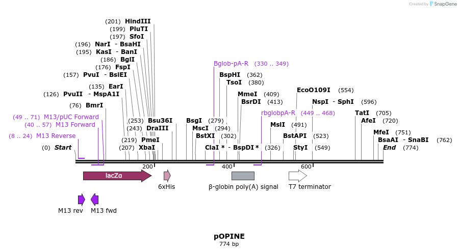 32152_map