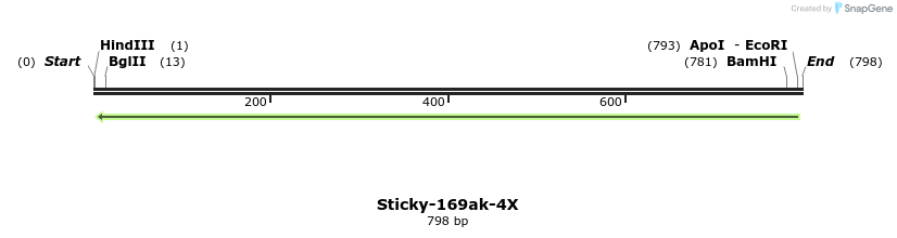 321542_map