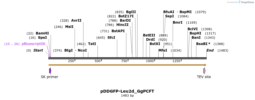 321546_map