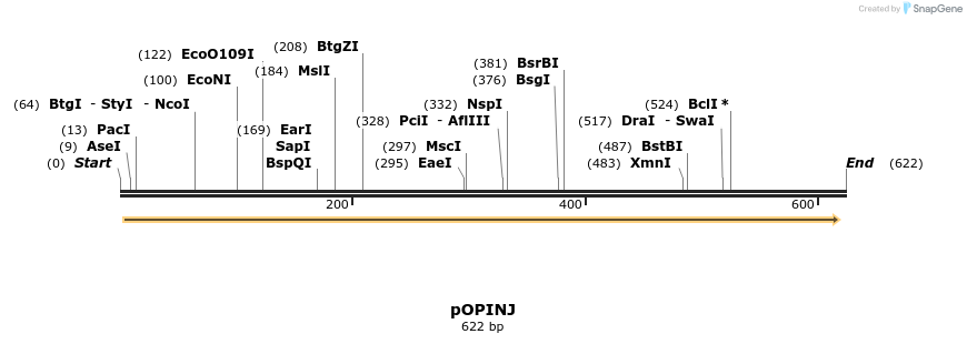 32155_map