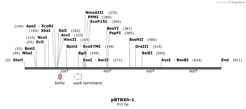 32159_map