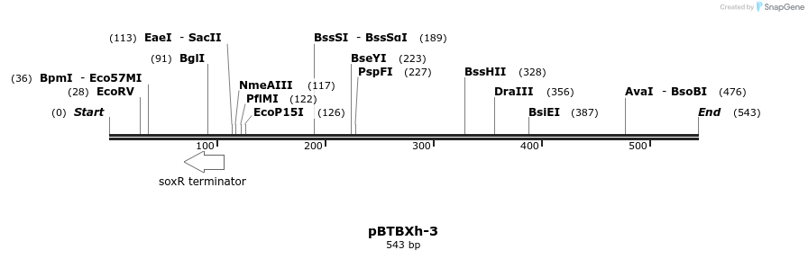 32161_map