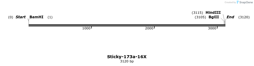 321618_map